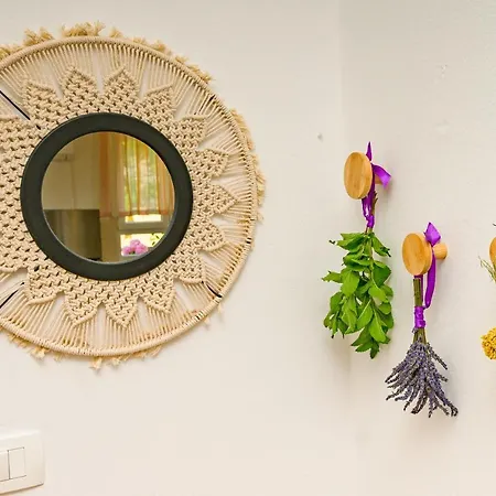 House Rosa Apartment